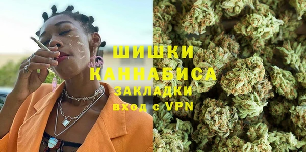 прущие грибы Куйбышев
