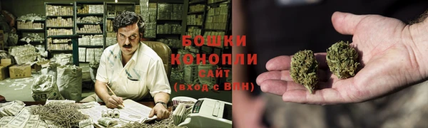 прущие грибы Куйбышев