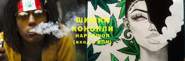 прущие грибы Куйбышев