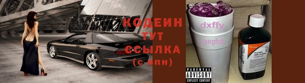 ПСИЛОЦИБИНОВЫЕ ГРИБЫ Кукмор