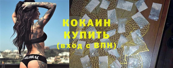 ПСИЛОЦИБИНОВЫЕ ГРИБЫ Кукмор