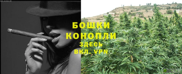 прущие грибы Куйбышев