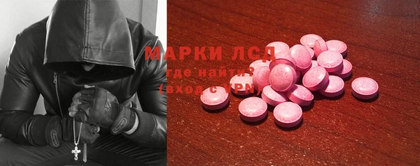 прущие грибы Куйбышев