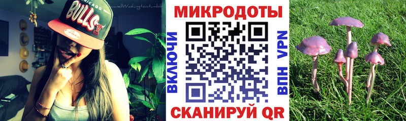 Псилоцибиновые грибы прущие грибы  Купить где  Агидель 
